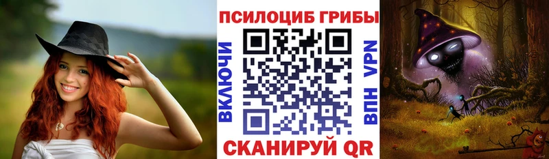 Псилоцибиновые грибы Magic Shrooms  Купить закладки  Дудинка 